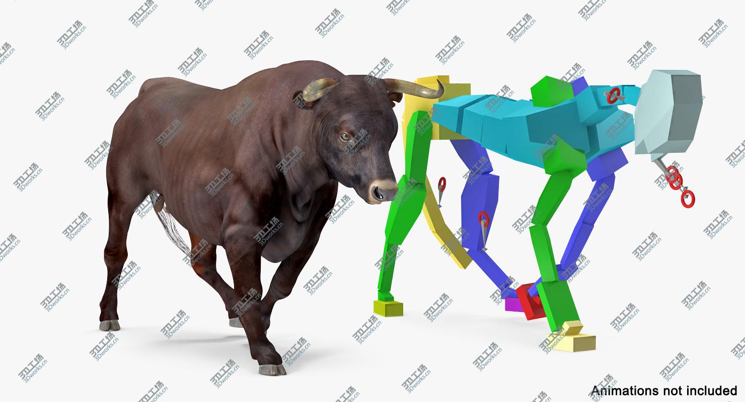 images/goods_img/2021040232/3D Bull Rigged model/5.jpg